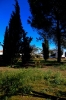 Algallarín
