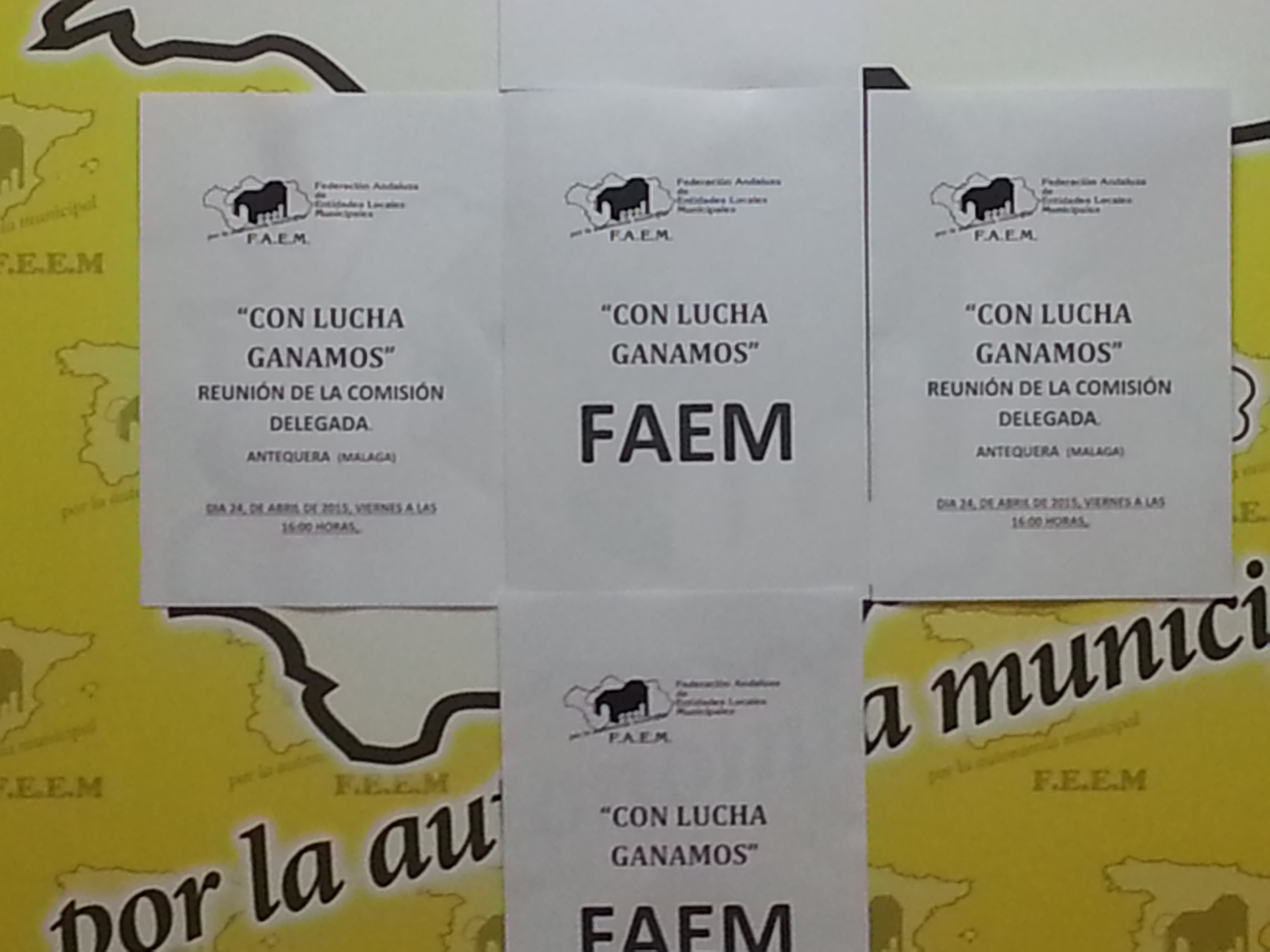 NUEVO LEMA FAEM 2015